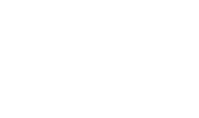 logo-transparent-lg